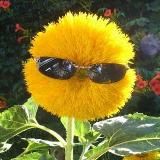 Дашмобиль разбогател и стал счастливым главным героем своей жизни.