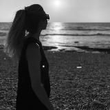 Русский дневник