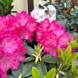 Комментарии