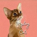 Хаус закрыт