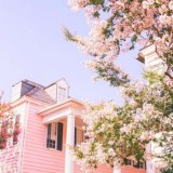 𝒂𝒃𝒆𝒂𝒍𝒊𝒂..