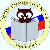 МОУ гимназия 18 Томилино💥