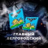 ⚡️Главный Белгородский