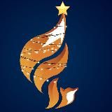 Студенческий спортивный клуб «Русские Лисы»