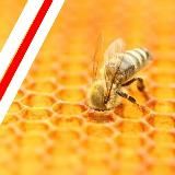 Разумный инвестор