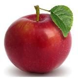 Сад и огород. Дача. Советы агронома