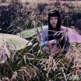 котики астрала