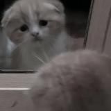 ‍‍ ￶ива-ѣ8щ