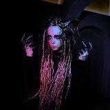 Жизнь автора во чертогах