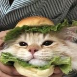 Ураа Кристаликс