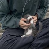 из мрака к свету