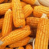 ОВСЧ. Обсуждение вопросов