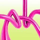 Анатомия красоты shop