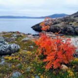 Мурманск путешествия