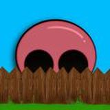 Чат. Регіоналіті