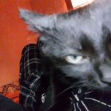 заложники yup