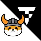 Floki & TokenFi 中文社区入口