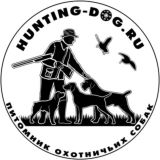 Hunting-dog.ru — питомник дратхааров и курцхааров