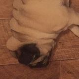 Как сварить борщ?