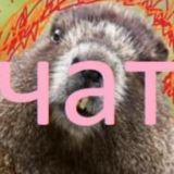 Chat для обсуждения рэпа