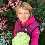 Цветули у Светули