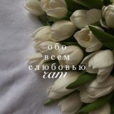 чат с любовью обо всем
