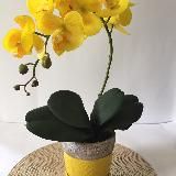 🌼Цветочные композиции🌼