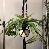 LR Германия 🇩🇪 и Цветы 💐