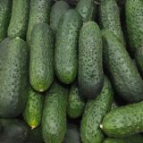 Правду говорить легко и приятно Chat