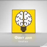 Факт дня 🧠