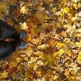 𝝑𝑒 senya's channel : , )