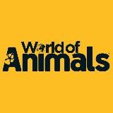 World of Animals 🐾