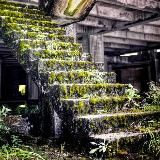 Артем. ЗАБРОШЕННОЕ