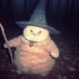 Кошачий чатик