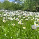 Ольга Борисова🌸РЭЙКИ