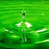 ЧЕЛОВЕК (авторский блог)