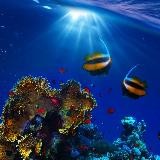 Living Ocean