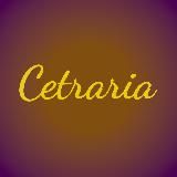 Cetraria - лес, который можно забрать домой