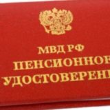Пенсионер МВД (чат)