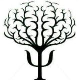 SG.Psy.Community