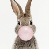 Следуй За Белым Кроликом Chat