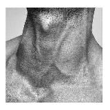 •ℍ𝕠𝕞𝕖 𝕧𝕚𝕕𝕖𝕠•