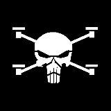☠️ Flying Skull ☠️