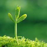 Дробышев | В ресурсе