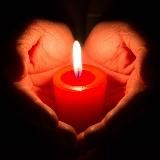 ❤️🐾ЖИВИ🐾❤️ - большая семья!