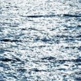 Чат канала "Тело в любви"