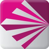 Project V (使用与反馈)