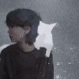 Переезд!!!๑ﾟPaddkukiry･ﾟ’♫