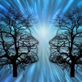 Таролог Vita Svet | Расклады на картах taro