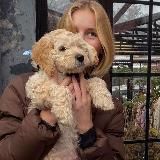 𝐓𝐇𝐄 𝐒𝐈𝐀